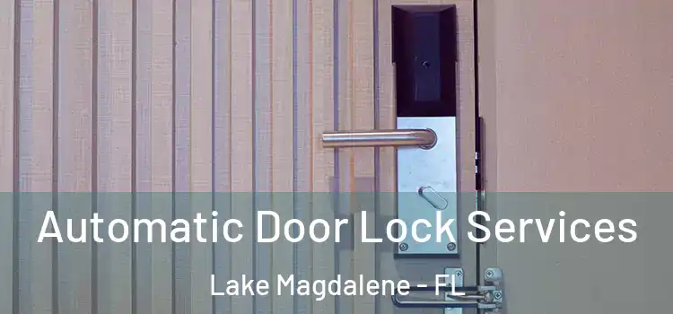 Automatic Door Lock Services Lake Magdalene - FL