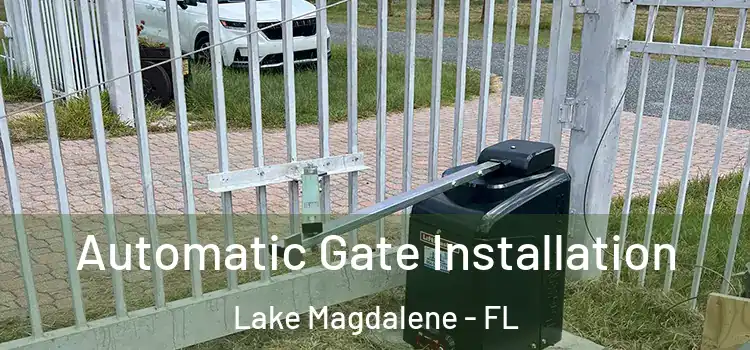 Automatic Gate Installation Lake Magdalene - FL