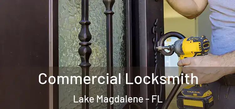 Commercial Locksmith Lake Magdalene - FL