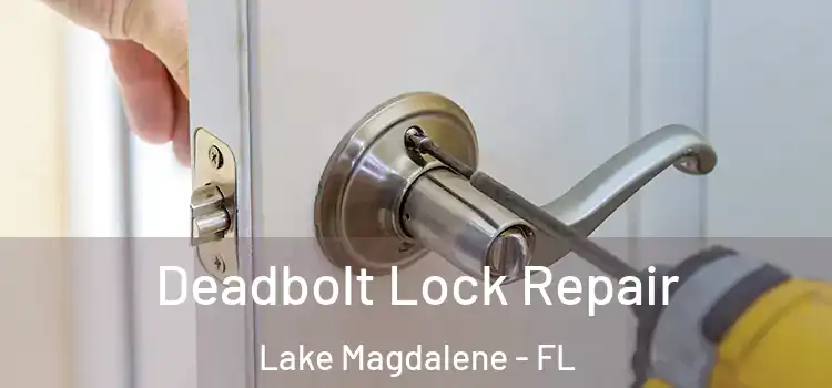 Deadbolt Lock Repair Lake Magdalene - FL