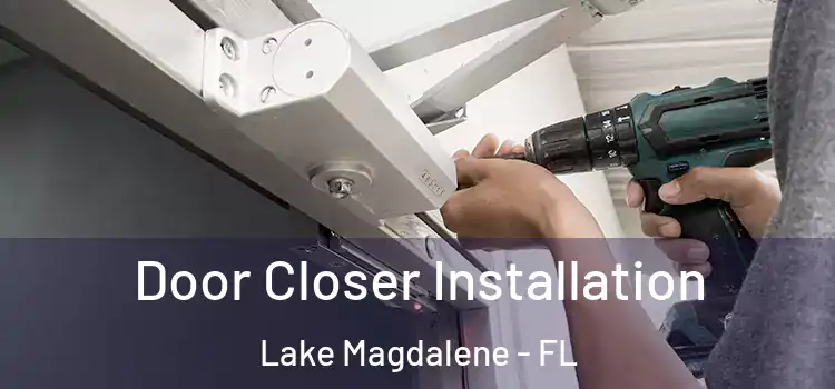 Door Closer Installation Lake Magdalene - FL