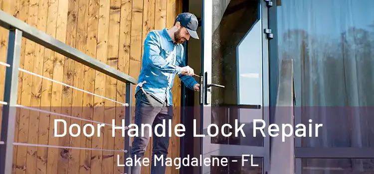 Door Handle Lock Repair Lake Magdalene - FL