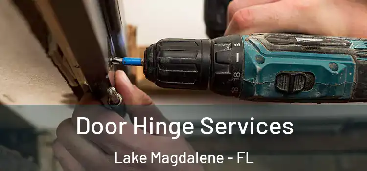  Door Hinge Services Lake Magdalene - FL