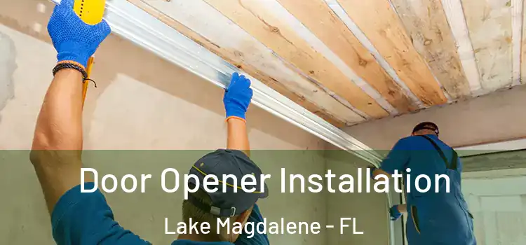  Door Opener Installation Lake Magdalene - FL