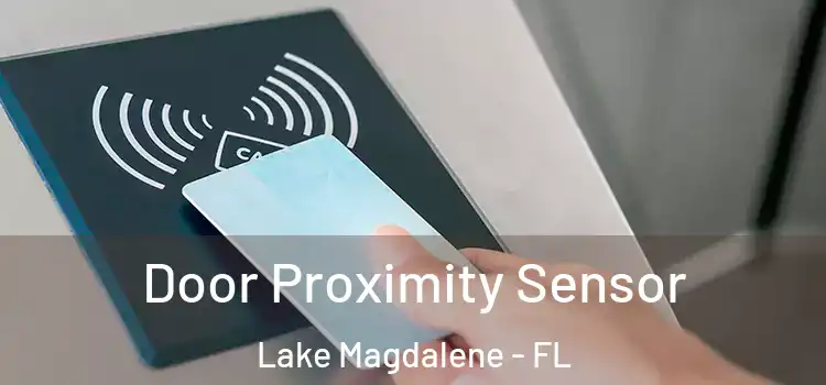 Door Proximity Sensor Lake Magdalene - FL