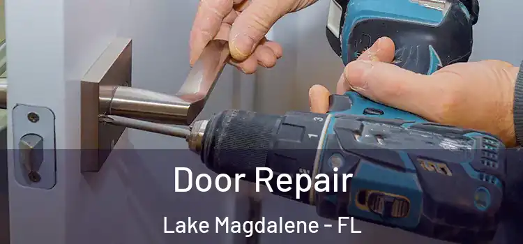 Door Repair Lake Magdalene - FL