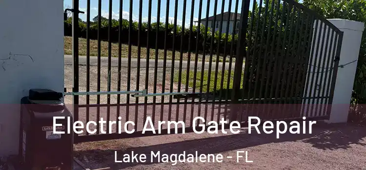 Electric Arm Gate Repair Lake Magdalene - FL