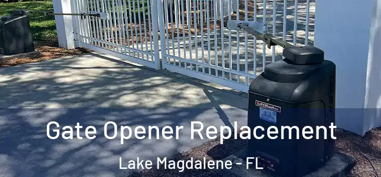 Gate Opener Replacement Lake Magdalene - FL