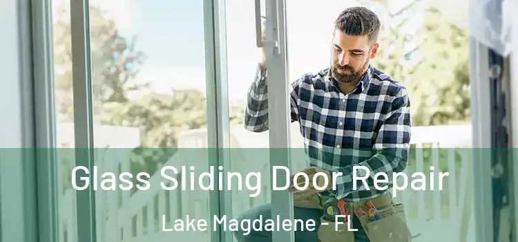 Glass Sliding Door Repair Lake Magdalene - FL
