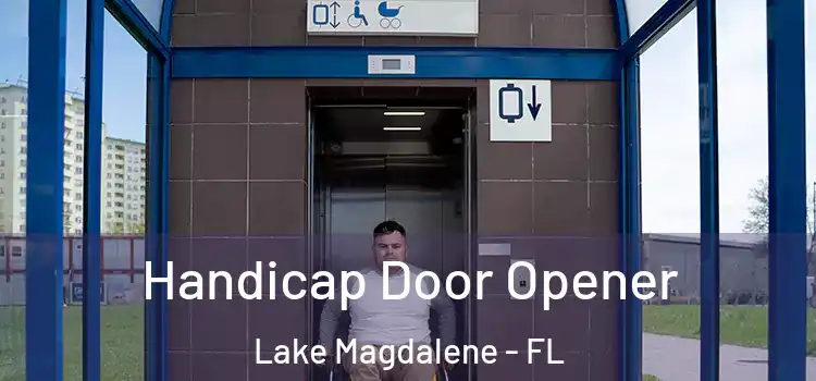 Handicap Door Opener Lake Magdalene - FL