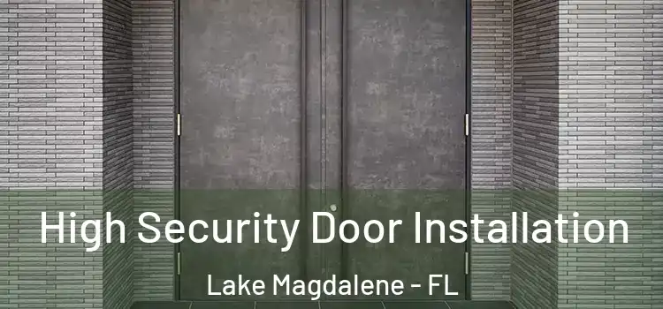 High Security Door Installation Lake Magdalene - FL