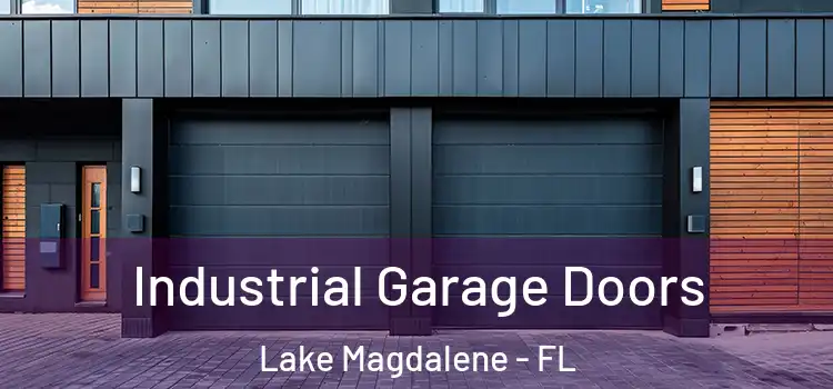  Industrial Garage Doors Lake Magdalene - FL