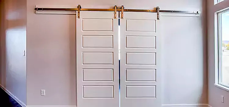 Glass Barn Door with Installation Hardware Kit Lake Magdalene
