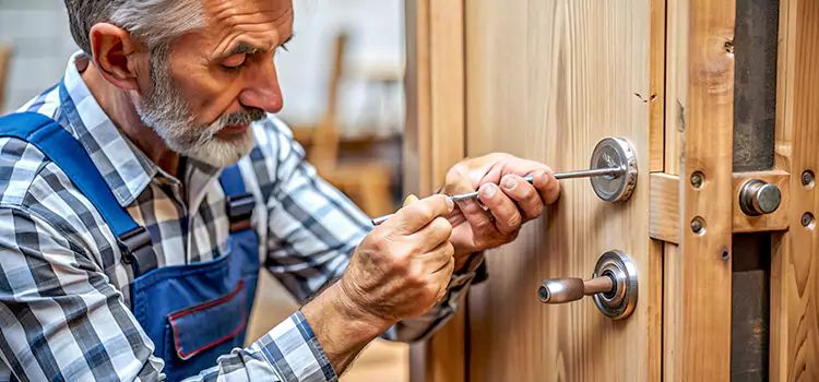 Mortise Replacement Lock Lake Magdalene
