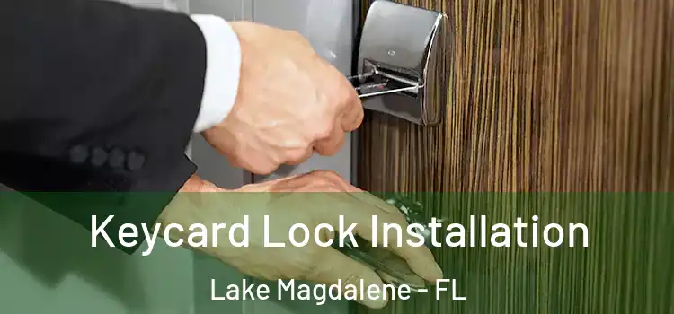 Keycard Lock Installation Lake Magdalene - FL
