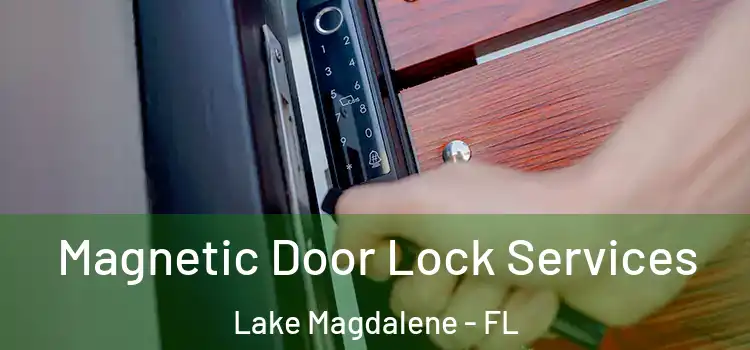 Magnetic Door Lock Services Lake Magdalene - FL