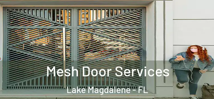 Mesh Door Services Lake Magdalene - FL