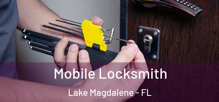 Mobile Locksmith Lake Magdalene - FL