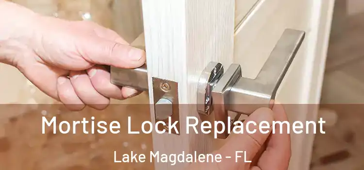 Mortise Lock Replacement Lake Magdalene - FL