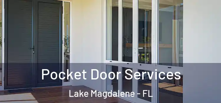 Pocket Door Services Lake Magdalene - FL