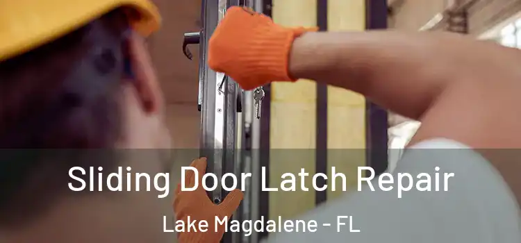 Sliding Door Latch Repair Lake Magdalene - FL
