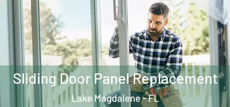  Sliding Door Panel Replacement Lake Magdalene - FL
