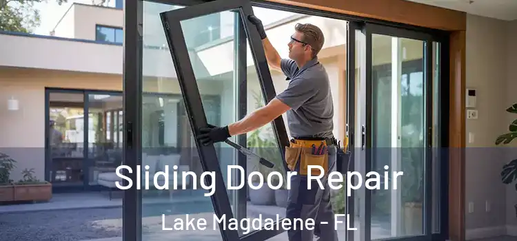 Sliding Door Repair Lake Magdalene - FL