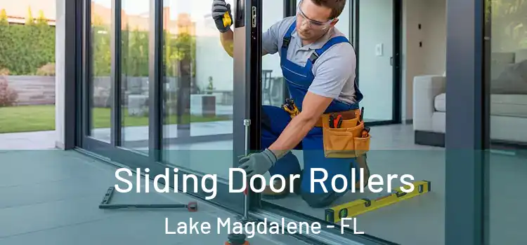 Sliding Door Rollers Lake Magdalene - FL