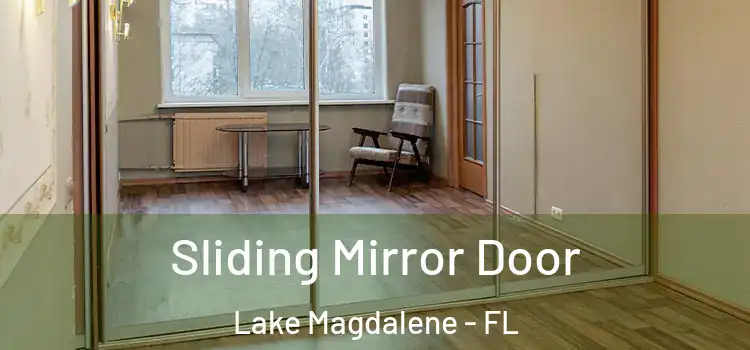  Sliding Mirror Door Lake Magdalene - FL