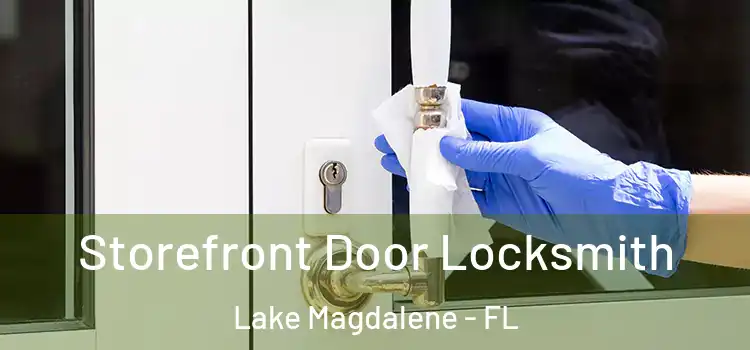 Storefront Door Locksmith Lake Magdalene - FL