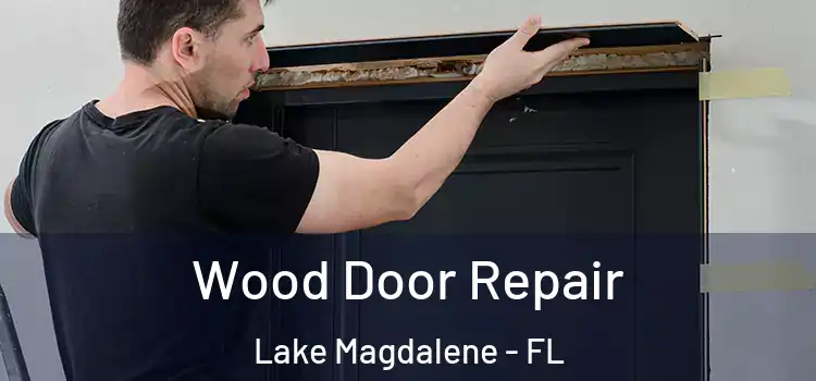 Wood Door Repair Lake Magdalene - FL